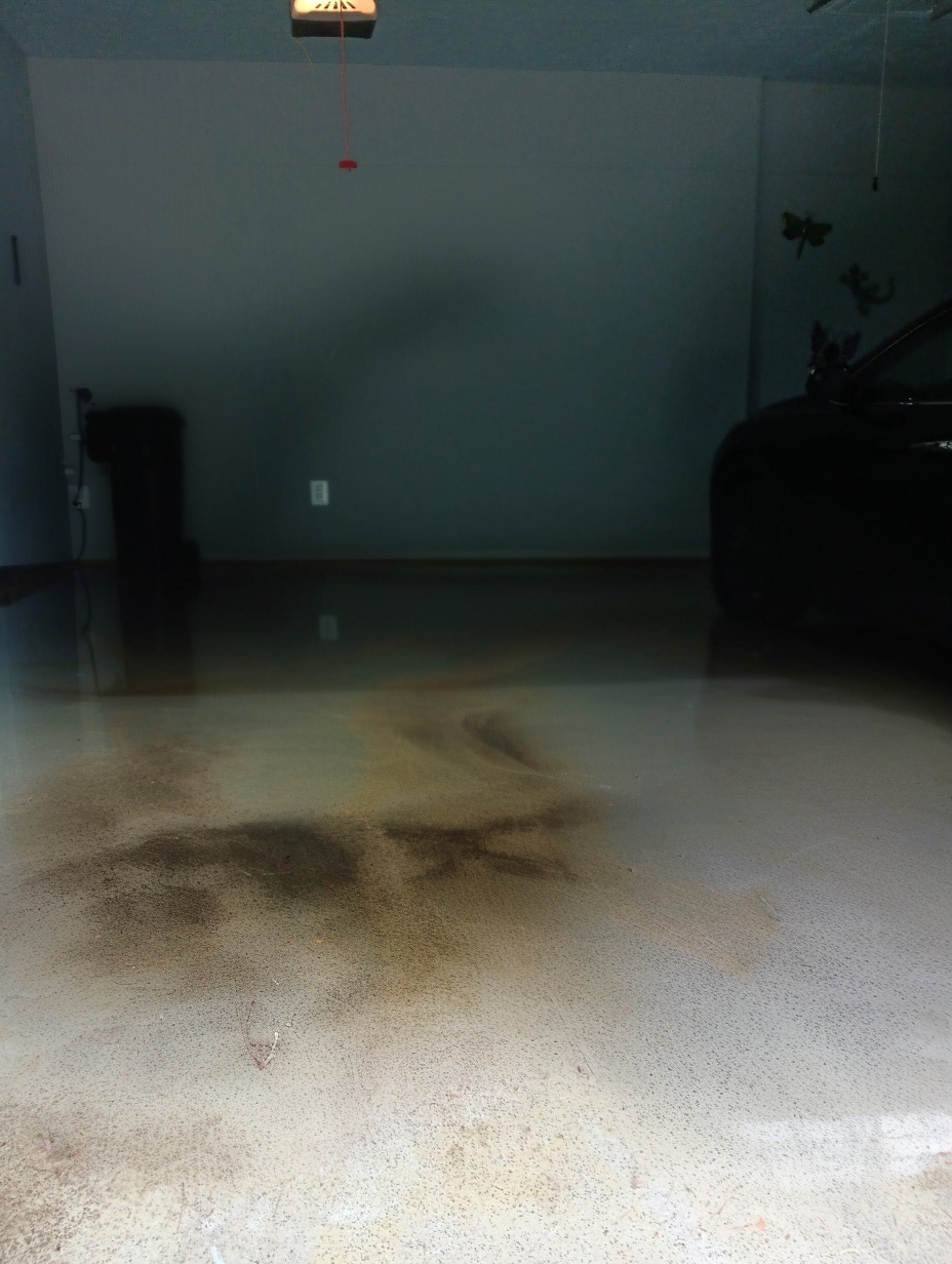 Clean garage after cleaning